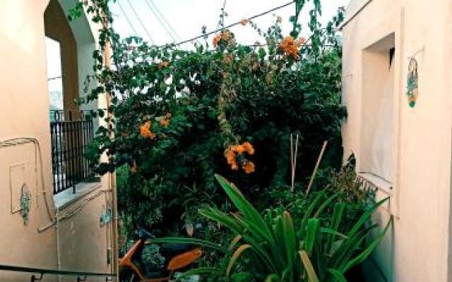 Vassilis Apartments