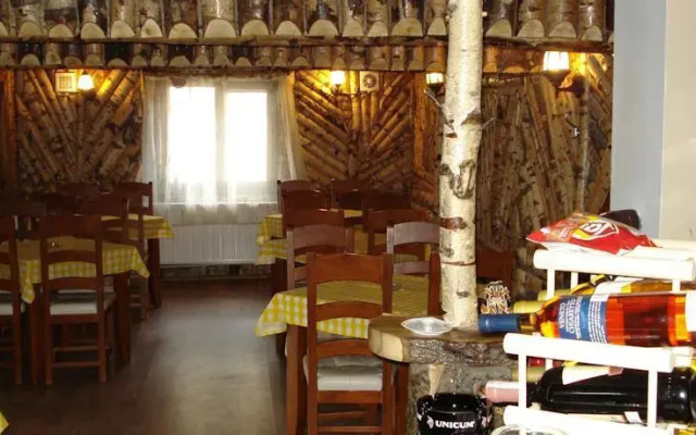 Pensiunea Casa Ioana