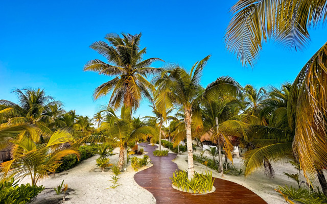 Alito Hotel Tulum