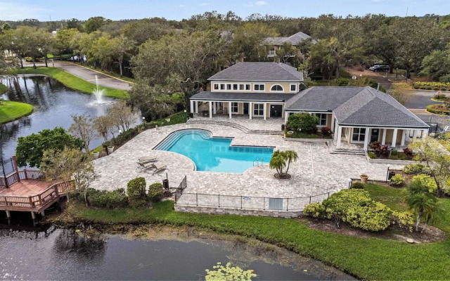 The Urban Oasis Serene Views!