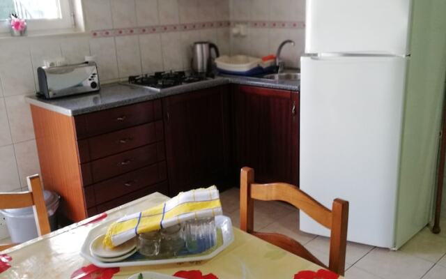 Cister Alcobaa Studios