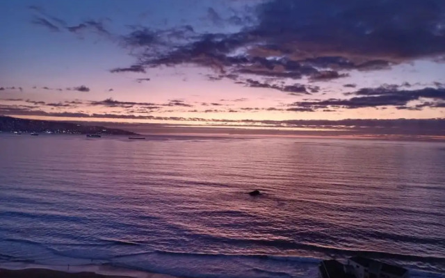 Luminous Bellavista Sector 5 Laundry Parking Wifi