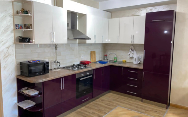 Comfortable apartment in center