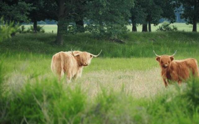 Buitenherberg ter Linde