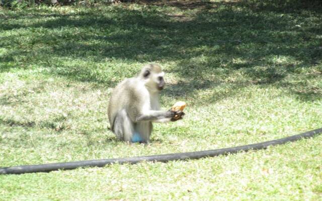 Amanzimlotzi Riverside Bush Camp