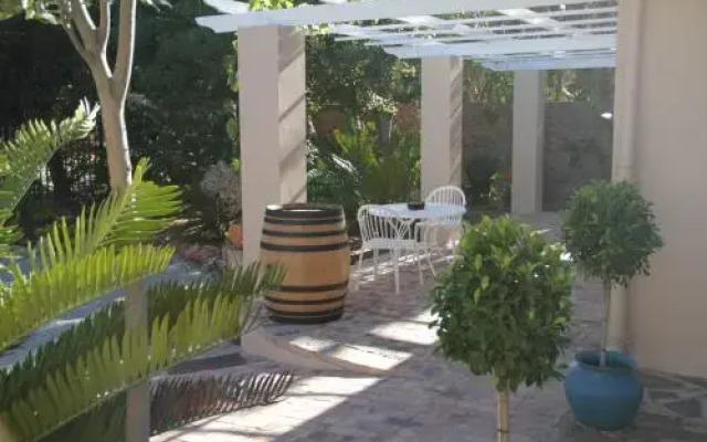 The Vine