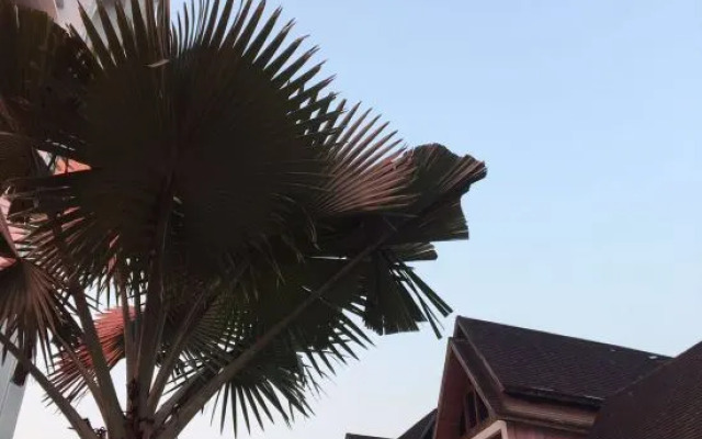 Xishuangbanna Flower Inn