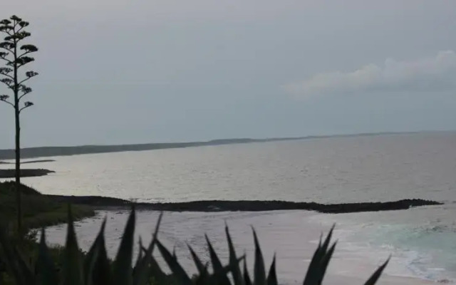 Ocean Dream Beach Resort