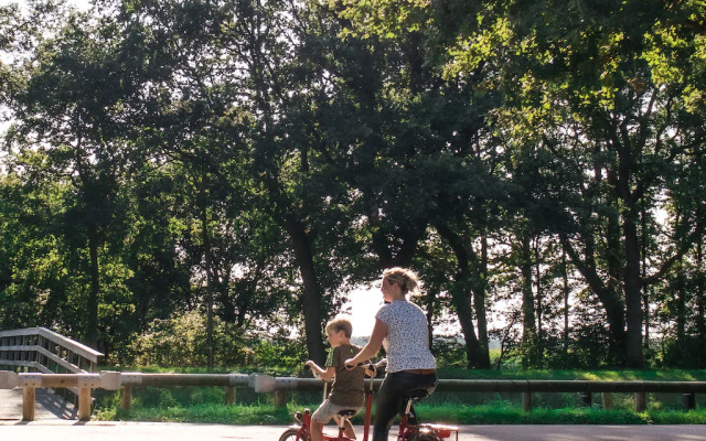 Detached Holiday Home With Dishwasher Near Assen