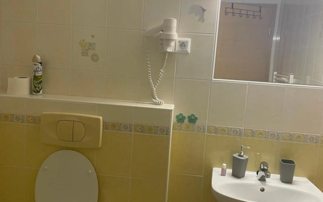 Apartma Moravske Toplice 16