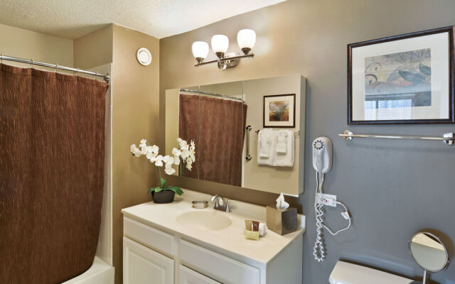 Chicago Premier Suites