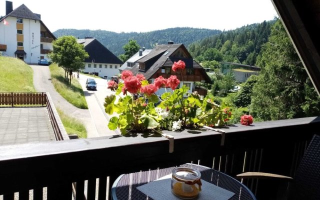 Cosy flat in St Blasien in the Black Forest with balcony and private terrace