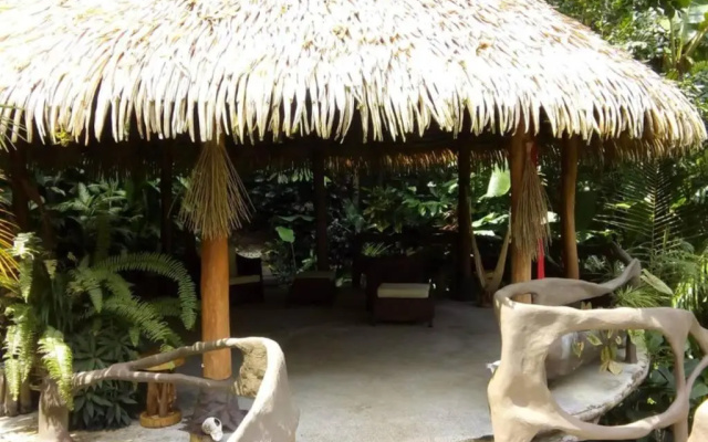 Casa Vida Verde