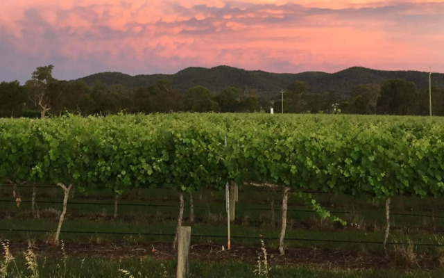 The Farmhouse at Blue Wren Wines