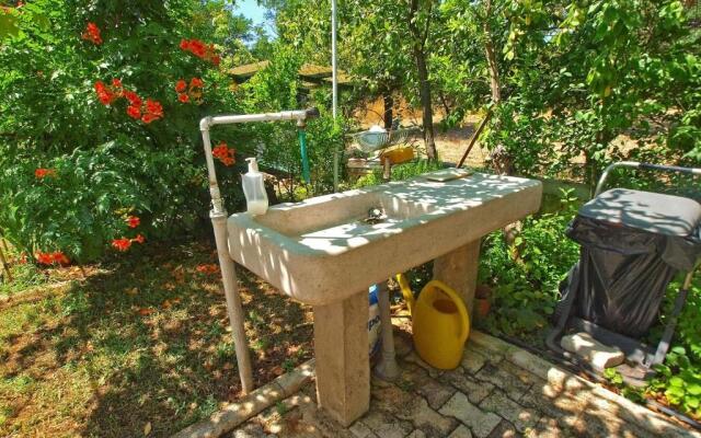 Apartment Branko 1142