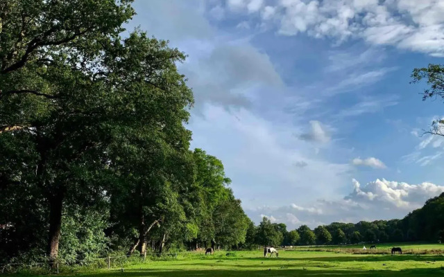 Zonnebos, private garden, fresh air, relax!