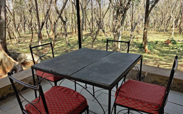 Bamboo Banks Farm & Guest House