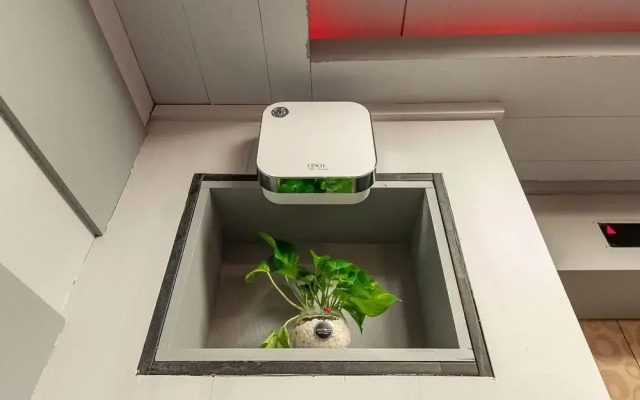 Iksan Tubucktel Mohyeon Branch