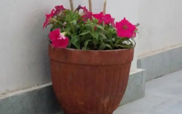 Welcome Inn at Ganges Varanasi