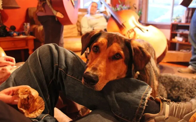 North Yellowstone Lodge and Hostel