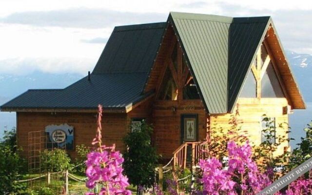 Homer Alaska Vacation Rental