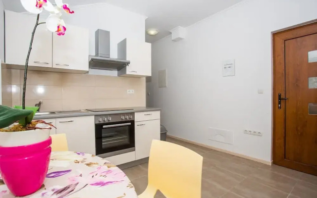 Apartments Vladimir 2835 / One Bedroom A3