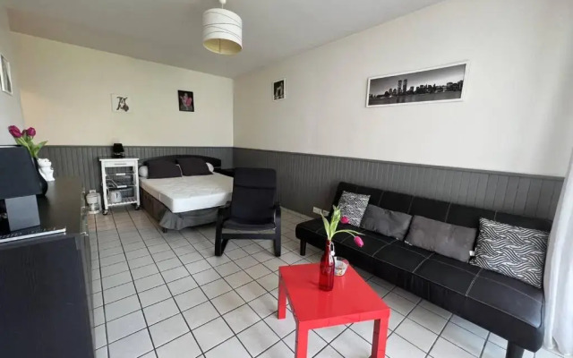 Appartement Cambo-les-Bains, 1 pièce, 2 personnes - FR-1-495-63