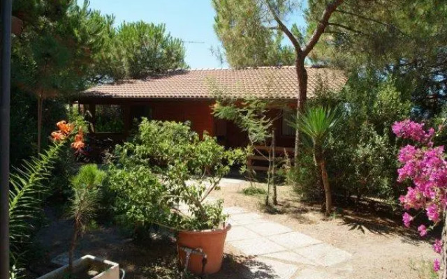 Camping Pionier Etrusco