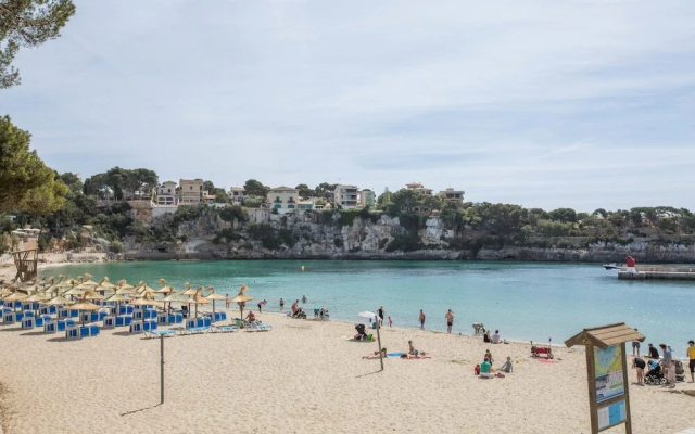 PLA DES Coll