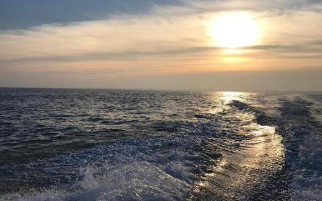 Les Amarres Aiguillon