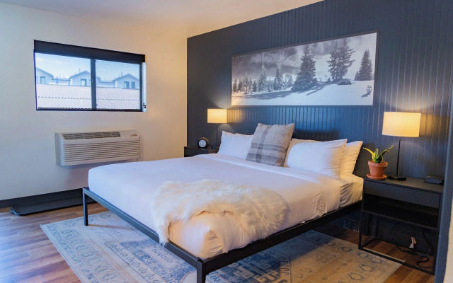 Gravity Haus Winter Park