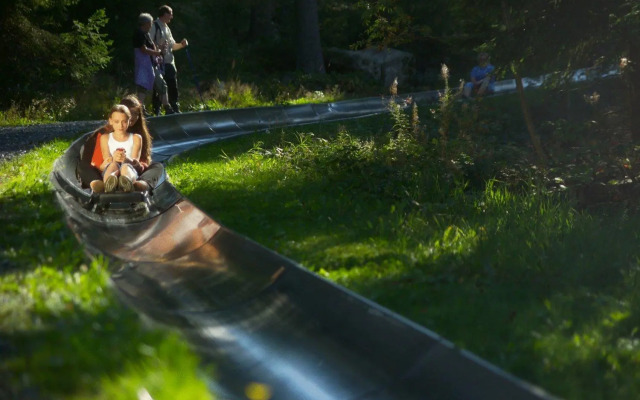 Gasthof Deutscher Adler & Hotel Puchtler