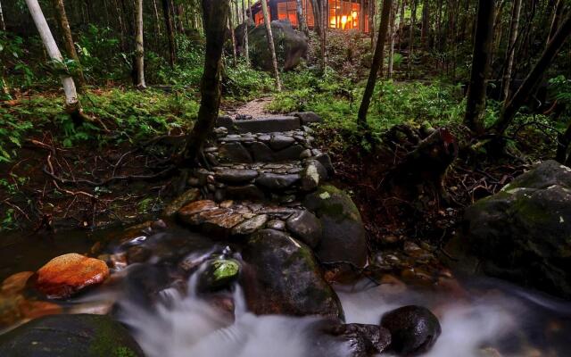 Daintree Cascades