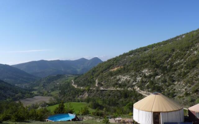 Les Carlines du Grand Bois