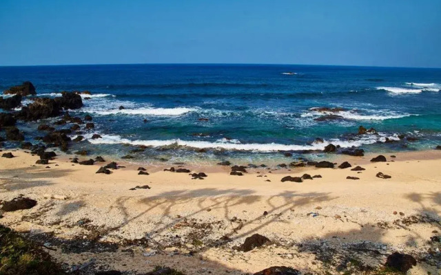 Tanna Horizon Bungalows & Tours