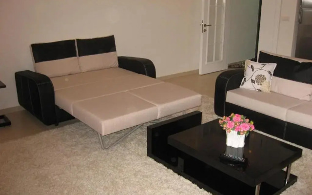 Apartment in Olive City