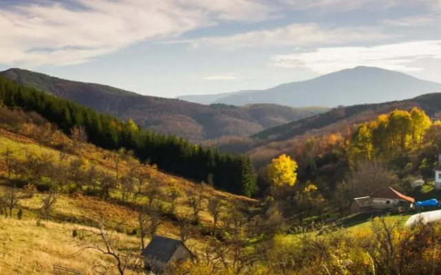 Apartman Ramonda Kraljevo