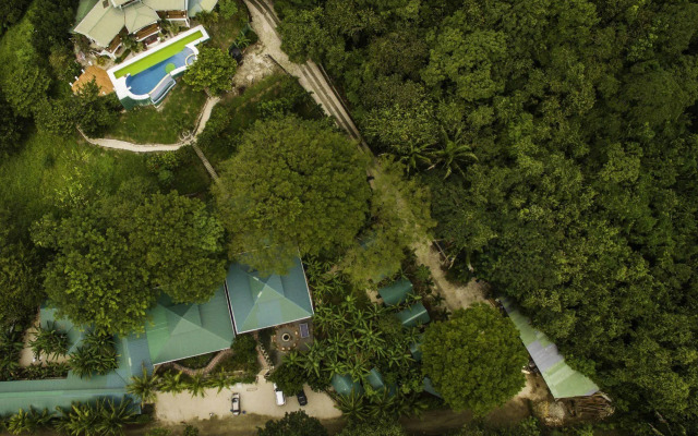 Jungle's Edge