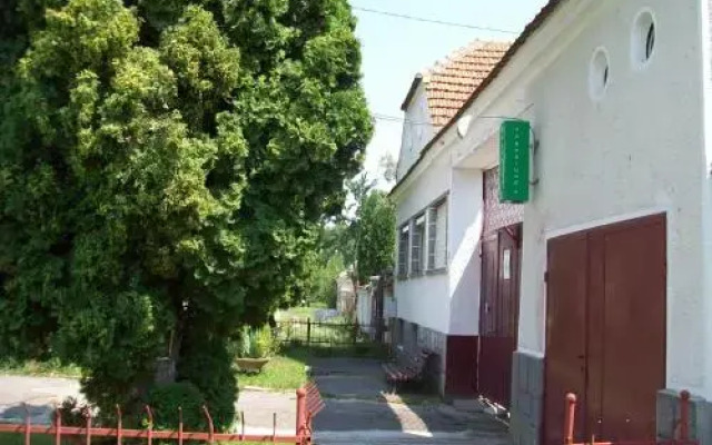 Pensiunea Magnolia