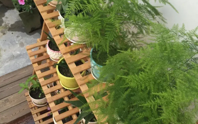 Suzhou Tongli Shiguang Inn