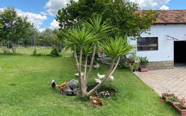 A Casa di nonna Emilia