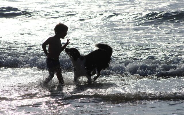 L'Imprenable vue mer