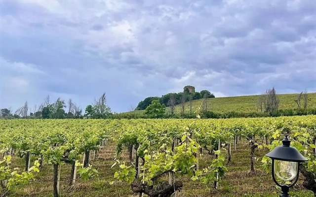 Country House Il Vigneto