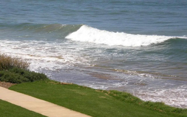 Penguin Waterfront Escape