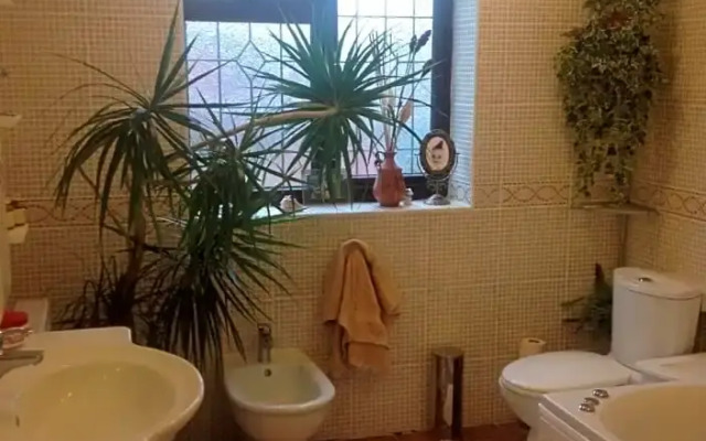 The Cedars House B&B