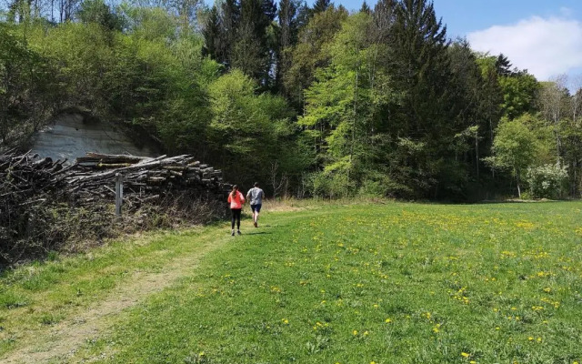 Wohlfuhl Hotel Wiesenhof