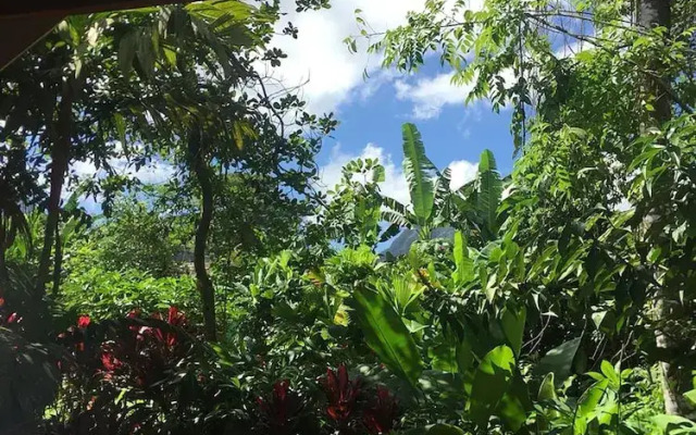 Selvita Lodge Arenal
