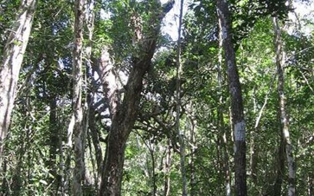 Quintana Roo National Park Campground & Hiking