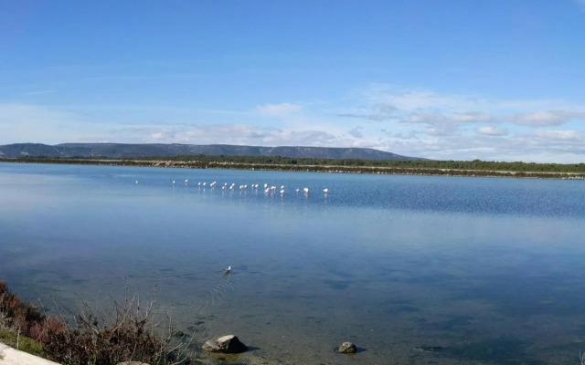 Studio Plage Anthemis