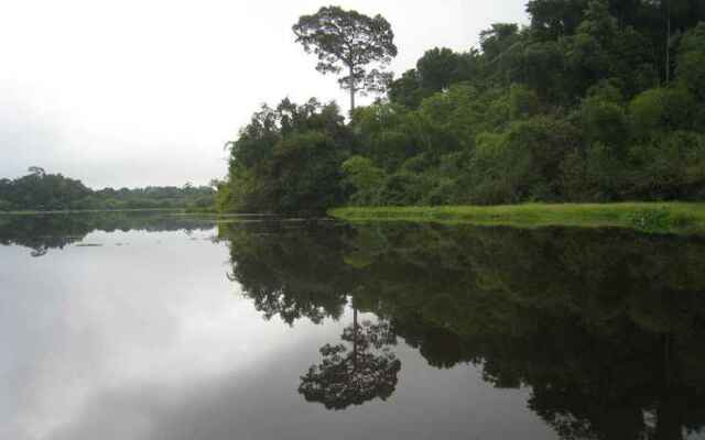 Bird Song Lodge - Minh Shack Home Stay